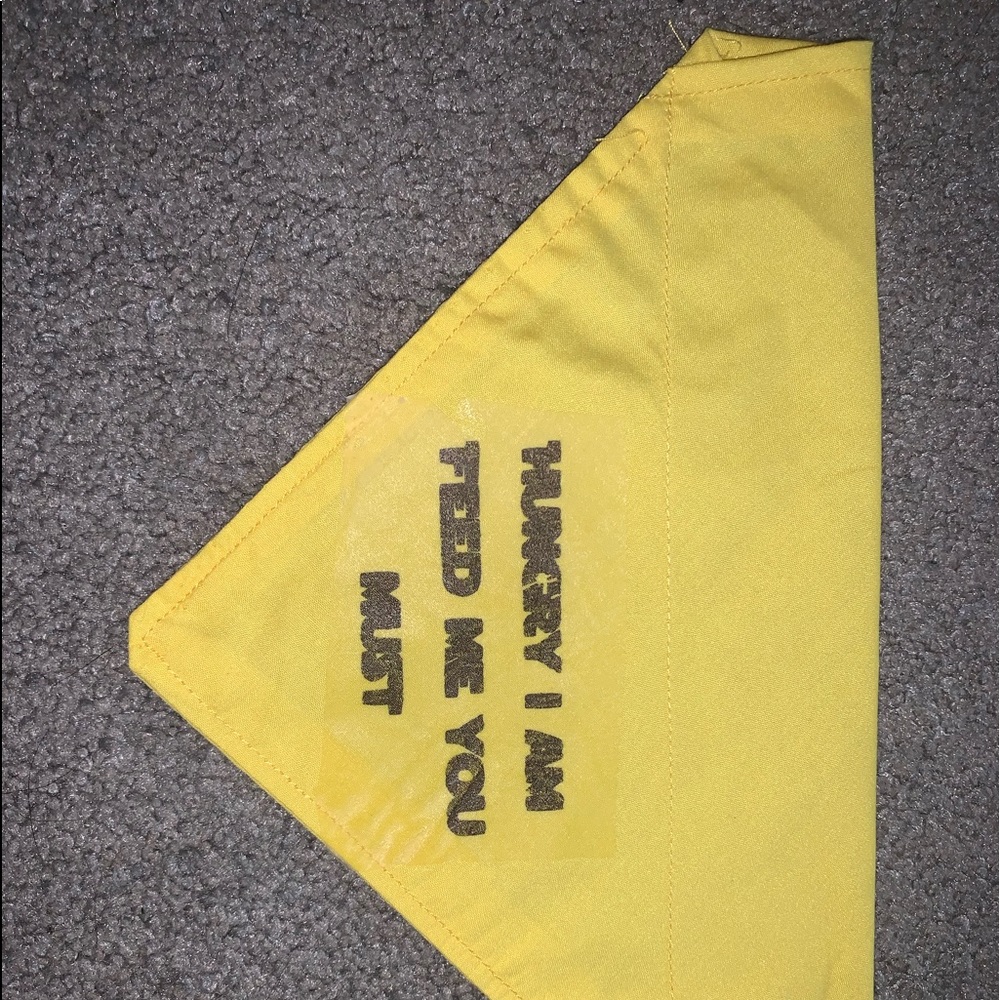 Dog bandana